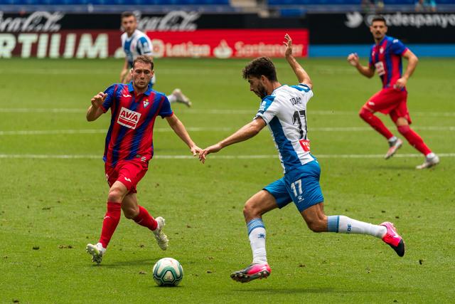 世界杯D组巡礼:4队实力接近 土耳其迎新黄金一代